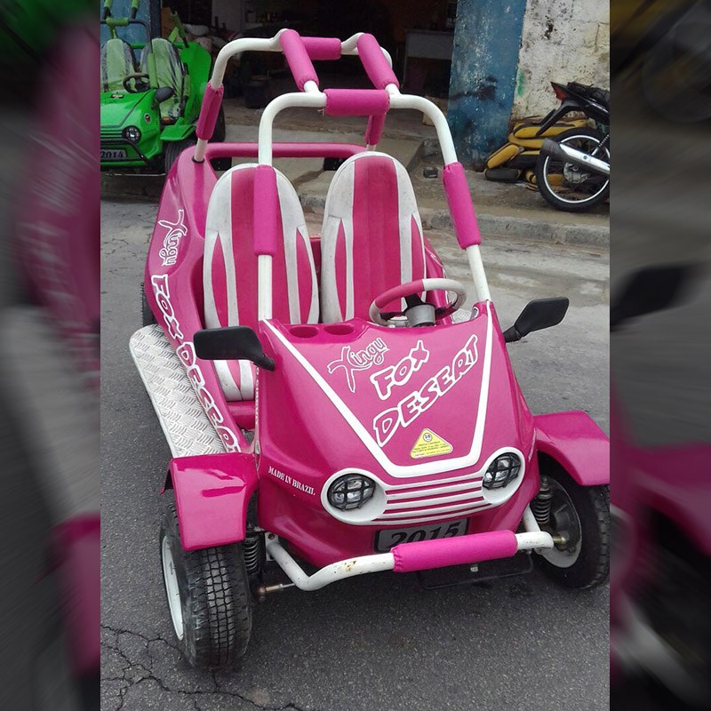 Usados Mini Buggy Fox Desert Rosa com Branco